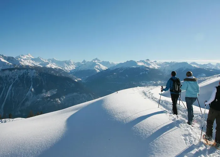 Genziana B 20 By Interhome Κρανς Μοντάνα